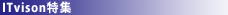 ITvision���W