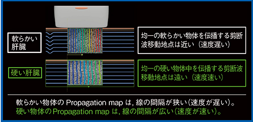図4　SWEの原理（Propagation map）