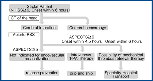 図6　Abierto RSSを使用した虚血性脳卒中の治療フロー