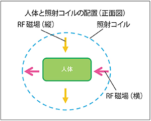 図1　QD照射によるRF磁場