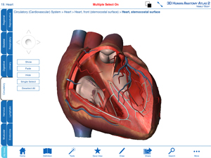 図1　解剖学系アプリのVisible Body