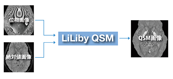 LiLiby QSM
