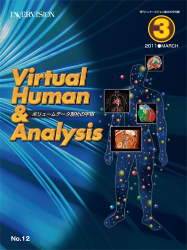 Virtual Human & Analysis No.12