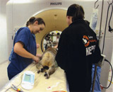 Brilliance CTXLiŃRAff