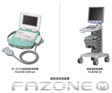 FAZONEit@][j M/Brain