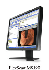 FlexScan MS190