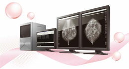 }OtBp摜[NXe[VuEV Insite Mv