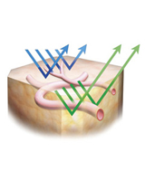 шώ@iNBIjł́CΐFƐF𗘗pāCS\wƐ[̌ǂNɕ\