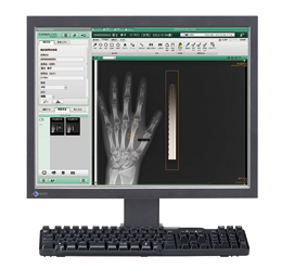 fW^ʑT[rXu+DIPivXfB[ACs[jv