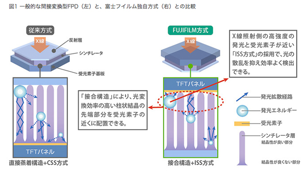 }1 ʓIȊԐڕϊ^FPDijƁAxmtCƎiEjƂ̔r