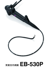 EB-530P