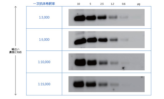 ꎟR̂3,000 `15,000{Ɋ߂EFX^ubeBOo ǂ̔ZxłohNAɌoB