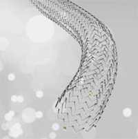 Zilver iWo[jPTX ܗno^ǗpXeg