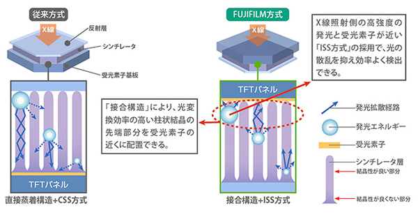 }1@ʓIȊԐڕϊ^FPDijƁCxmtCƎiEjƂ̔r