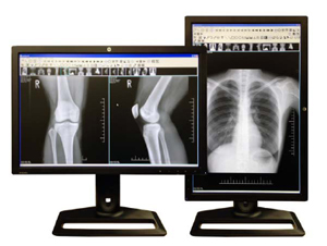 FVT-airł̈p摜\C[WihXP[v|[gCg\j