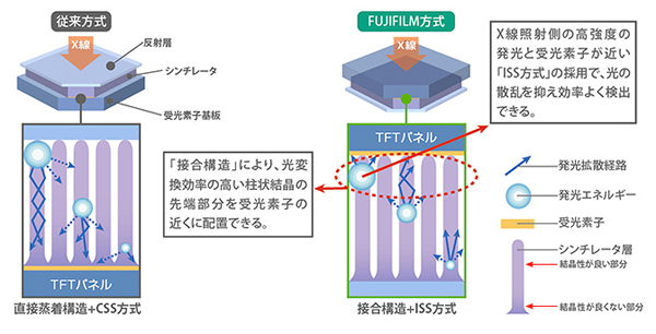}1 ʓIȊԐڕϊ^FPDijƁCxmtCƎiEjƂ̔r