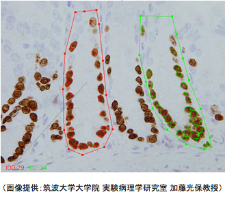 解析事例(生物・医療分野)