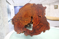 ƗO񂾉vVɋs̐Β͂yɐݒuꂽB