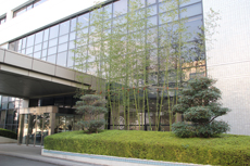 GgXOɂ́C19I㔼ɃGW\d̃tBgɎgpsEΐY̒|̑W߂|тAꂽB