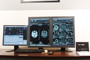 uNV-1000viʐ^FEƒ̃j^juNatural Reportviʐ^F̃j^j