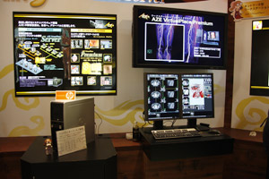 AZE VirtualPlace PREMIUMiEjƁCr[A[p̖{́ij