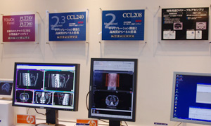 2MsNZJ[j^uCCL240/208vȂǂW