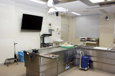 AiZ^[̕aU ^j^Ai摜\ĉUi߂B