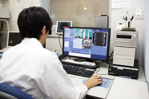 R\[ŃXLsZtB^{fp̃p[^ݒ肳ĂB