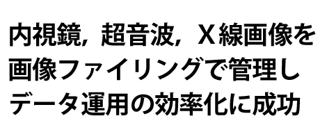 CgCw摜摜t@COŊǗf[^^p̌ɐ