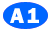 A1