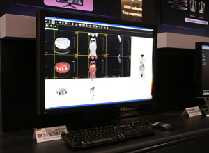 EIZO FlexScan MX300W