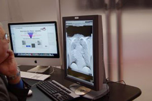 ʂ̃R[i[ł́C̈ɂgVZVXЉ