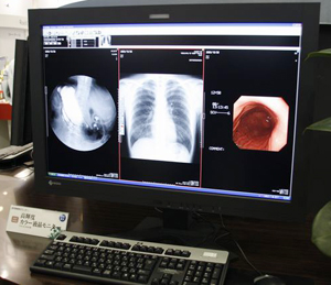 2K2ʕ1ʂŉ\ɂC1000Jf̍PxiQlWj