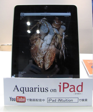 Aquarius on iPadQlWꂽB