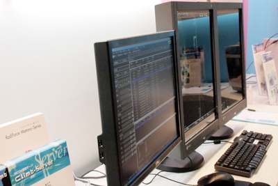 iiIiEIZOjЂRadForce GX530Ƒgݍ킹mammary