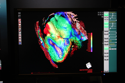 PhyZiodynamicsɂS̓ԂƋ@\̍摜