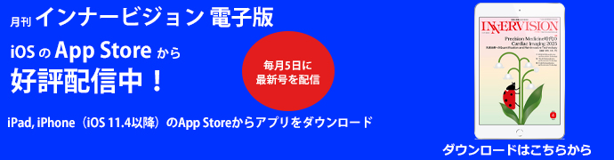 月刊インナービジョン17年