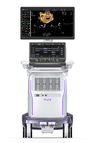 Vivid Pioneer