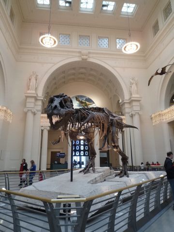 ファイル 17-2.jpg