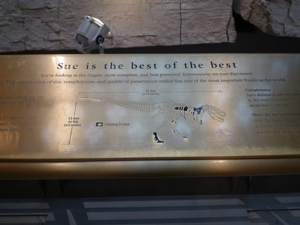 ファイル 17-3.jpg