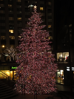 ファイル 19-4.jpg