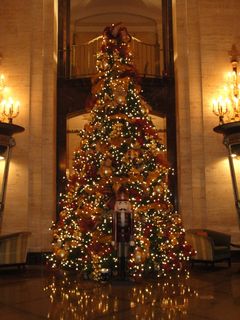 ファイル 5-4.jpg