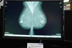 Monochrome LCD Monitor