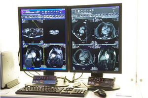 Px2MsNZ̃nCGhfCCL254i2