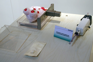 {ł\ꂽ΂AMULET BIOPSY ʒu߃IvV