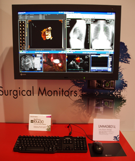 LMM0801-LEIZO RadiForce RX430