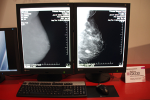 ŐVpl𓋍ڂRadiForce GX530