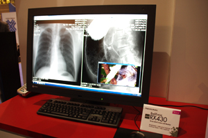 Hybrid Gamma@\̗pRadiForce RX430