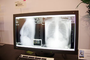 8KsNZRadiForce RX840