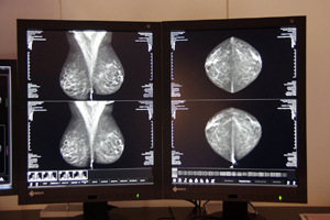 1200cd/m2̍PxRadiForce GX530